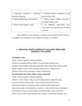 Laisvalaikio organizavimas su rizikos grupės vaikais 6 puslapis