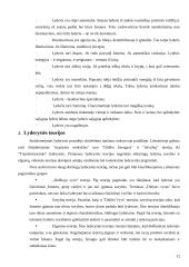 Lyderių savybės 12 puslapis