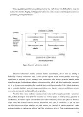 Lyderių savybės 14 puslapis