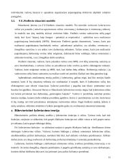 Lyderių savybės 15 puslapis