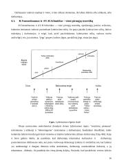 Lyderių savybės 16 puslapis