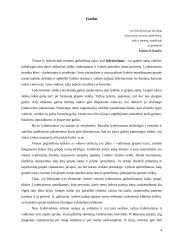 Lyderių savybės 4 puslapis