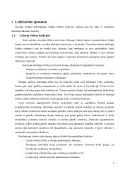 Lyderių savybės 6 puslapis