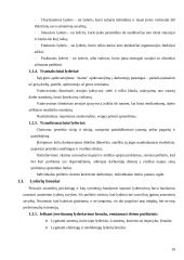 Lyderių savybės 10 puslapis