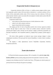 Lietuvos įmonių rūšys 8 puslapis