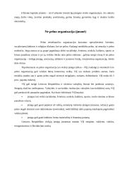 Lietuvos įmonių rūšys 10 puslapis