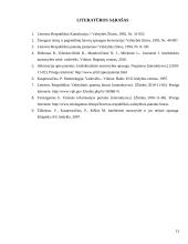 Lietuvos patentų sistema 12 puslapis