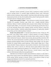 Lietuvos patentų sistema 7 puslapis