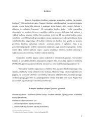 Lietuvos Respublikos biudžeto vykdymas 2 puslapis