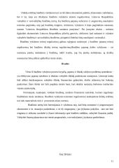 Lietuvos Respublikos biudžeto vykdymas 11 puslapis