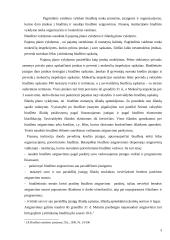 Lietuvos Respublikos biudžeto vykdymas 3 puslapis