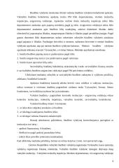 Lietuvos Respublikos biudžeto vykdymas 4 puslapis