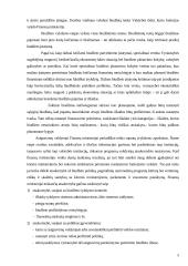 Lietuvos Respublikos biudžeto vykdymas 5 puslapis