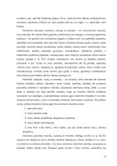 LR civilinė teisė - kaip privatinės teisės šaka 13 puslapis