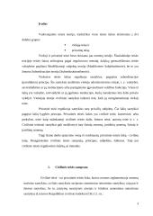 LR civilinė teisė - kaip privatinės teisės šaka 3 puslapis