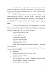 LR civilinė teisė - kaip privatinės teisės šaka 8 puslapis