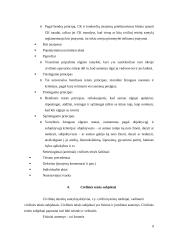 LR civilinė teisė - kaip privatinės teisės šaka 9 puslapis