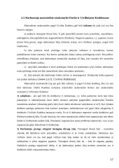 Materialinė atsakomybė - sąlygos, žala sveikatai, neturtinė žala, neteisėta veikla 16 puslapis