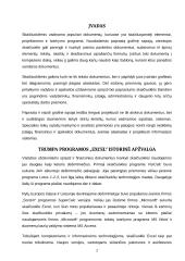 Microsoft Excel pagrindai 2 puslapis