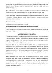 Microsoft Excel pagrindai 11 puslapis