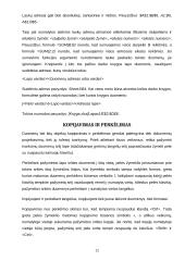 Microsoft Excel pagrindai 12 puslapis