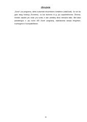 Microsoft Excel pagrindai 16 puslapis