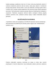 Microsoft Excel pagrindai 3 puslapis