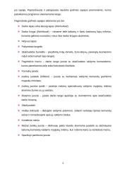 Microsoft Excel pagrindai 4 puslapis