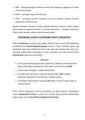 Microsoft Excel pagrindai 6 puslapis