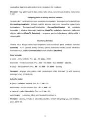 Microsoft Excel pagrindai 8 puslapis