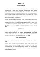 Microsoft Excel pagrindai 9 puslapis