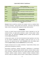 Microsoft Excel pagrindai 10 puslapis