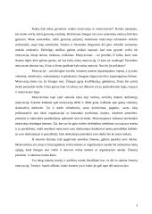 Motyvavimas/ Motyvacija 3 puslapis