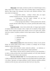 Motyvavimas/ Motyvacija 6 puslapis