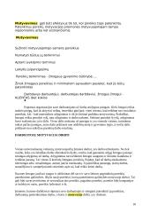 Motyvavimas/ Motyvacija 10 puslapis