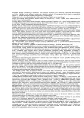 Senovės Indija 2 puslapis