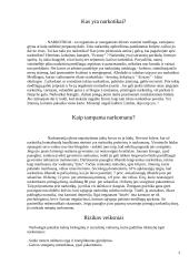 Narkomanija. Rizikos veiksniai 2 puslapis