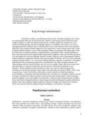 Narkomanija. Rizikos veiksniai 3 puslapis