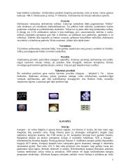 Narkomanija. Rizikos veiksniai 4 puslapis