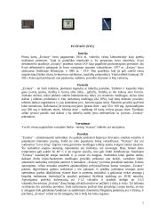 Narkomanija. Rizikos veiksniai 6 puslapis