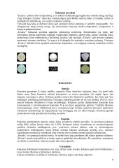 Narkomanija. Rizikos veiksniai 7 puslapis