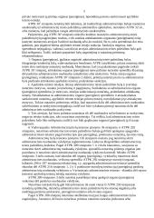 Nuobaudų už administracinės teisės pažeidimus skyrimas 5 puslapis