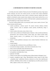 Nuomos sutartis: samprata, jos šalys ir sudarymo bei vykdymo ypatumai 13 puslapis