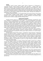 Paauglio psichikos vystymasis 3 puslapis
