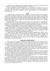 Paauglio psichikos vystymasis 4 puslapis