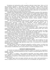 Paauglio psichikos vystymasis 7 puslapis