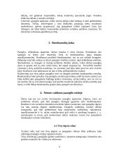Paauglio psichosocialinė raida 6 puslapis