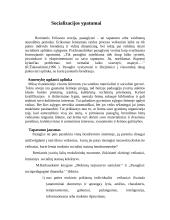 Paauglių socializacijos ypatumai 3 puslapis