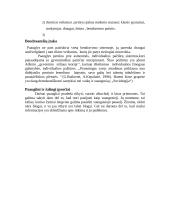 Paauglių socializacijos ypatumai 4 puslapis