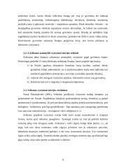 Pagrindiniai E. Eriksono teorijos teiginiai ir principai. Vystymosi stadijos 11 puslapis